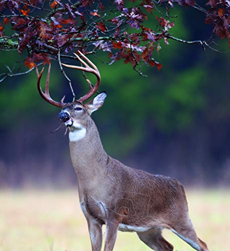 Duramesh Archery Targets Whitetail #1, DM219