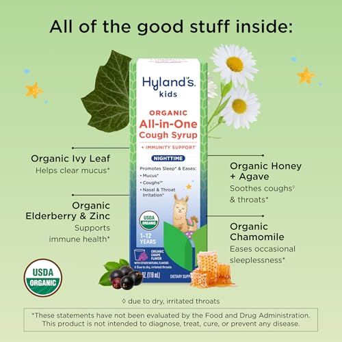 Image of Hyland's Kids Cough Syrup All-in-One for Nighttime, Organic (Grape) 4 fl oz
