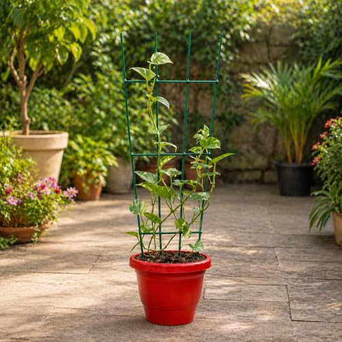 Image of Urban Plant Greenweave Trellis for Climbing Plants (24 Inch) | Metal Plant Support for Money Plant, Ivy, Creepers & Vines | Powder Coated Weather Resistant Plant Climber Support (Green Pack of 6)