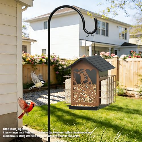Birdream Bird Feeders for Outdoors, 5 Lbs Metal Bird Feeder with Double Suet Cages, 2 in 1 Mixed Seeds Suet Feeder, Large Capacity & Weatherproof Metal Roof, Attract Cardinals Wildbird Woodpecker - Image 3
