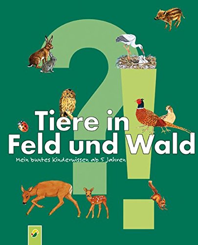 Tiere in Feld und Wald: Mein kunterbuntes Kinderwissen ab 5 Jahren