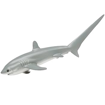 サメ Amazon | Safari Wild Safari SeaLife (ワイルド サファリ シー