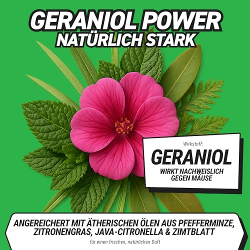 RepellShield® Rattenabwehr & Mäuseabwehr Spray -500ml- Mäuse Abwehrmittel zum Mäuse vertreiben - hält Ratten & Nagetiere fern, Nicht färbend, Pfefferminzöl Duft