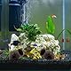 BAIFULAI Keramik Versteck, 3 Stück Aquarium Höhle,Fisch Tank Zubehör, Aquariendeko, Garnelenhöhle Fisch Zuhause, Fisch Garnelen Versteck, Keramik Ablaichhöhle für Aquarium Fisch Tank (Vase)
