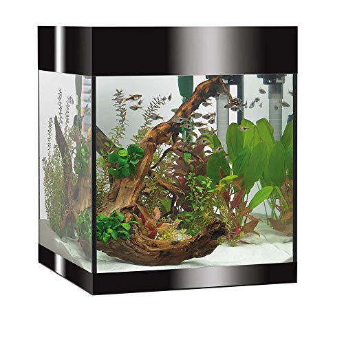 Acquario d'acqua dolce manutenzione facilitata accesso immediato ai materiali filtranti per una manutenzione rapida