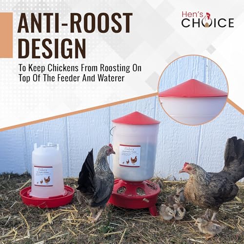 Hen's Choice™ Chick Feeder and Waterer Set, 6.5 lb Feeder, 1.5 L Waterer - Image 4