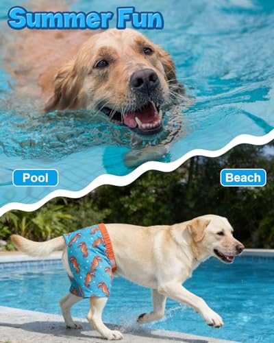 Image of CuteBone Dog Swim Trunks Swimsuit Durable & Comfortable - Quick-Dry, Adjustable Waistband Shorts, UV Protection Bikini- Perfect for Beach, Pool & Outdoor Fun, Dinos DST16XXL