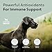 Four Leaf Rover Red Rover - Dog Urinary Tract Supplement - with Dog Vitamins from Organic Berries and Apple - Good Source of Polyphenols and Antioxidants - 30 Large Dog Servings