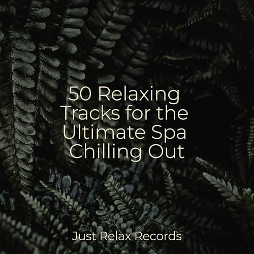 Amazon Music - Dormirの50 Relaxing Tracks for the Ultimate Spa Chilling ...