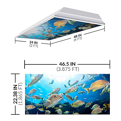 Image of Fluorescent Light Cover for Classroom Ceiling Lights - Premium Backlit Film Insert 2x4 (22.38 inchx46.5 inch) Florescent Fixture (Pack of 1) School, Office, Sensory, Improve Focus, Eliminate Headaches - Ocean