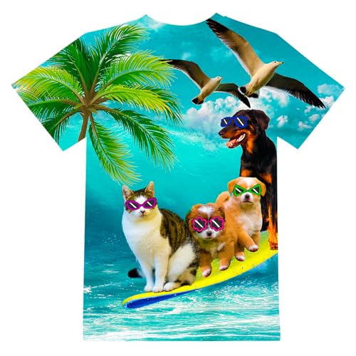 Image of LAIDIPAS Boys Girls 3D Graphic T-Shirt Short Sleeve Tops Tees 6-16 Years