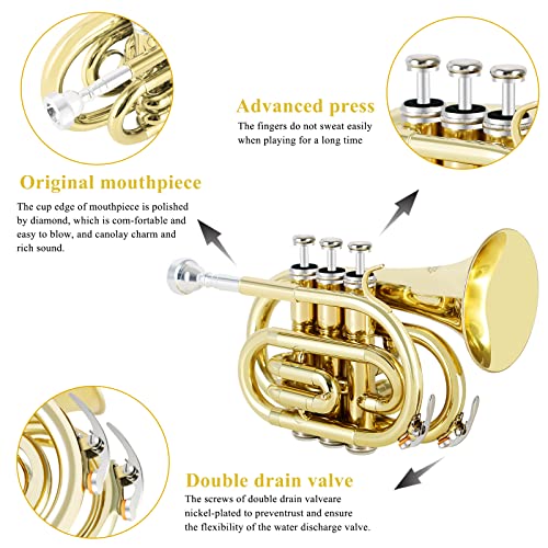Eastrock Pocket Trumpet Brass Bb Gold Lacquer Mini Trumpet With 7 C Mouthpiece, Hard Case, Strap, White Gloves, Cleaning Kit For Students And Beginners #TOP1