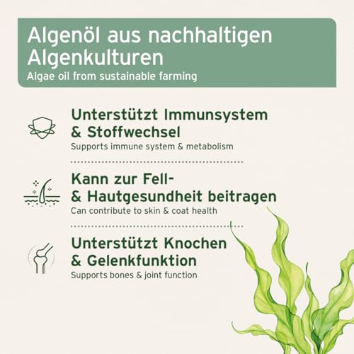 AniForte Algenöl für Pferde, Hunde & Katzen 50 ml – Hochkonzentriertes, veganes Omega-3 Öl aus Algen unterstützt Gelenke, Stoffwechsel, Fell & Haut