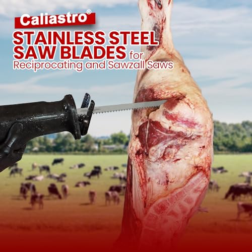 Caliastro 12