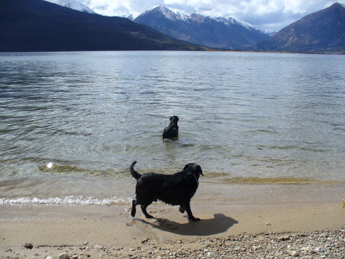 Insightful and Well Written