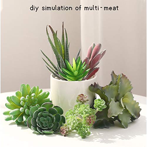 Dulau 11 Pezzi Unpotted Falso Piante Succulente