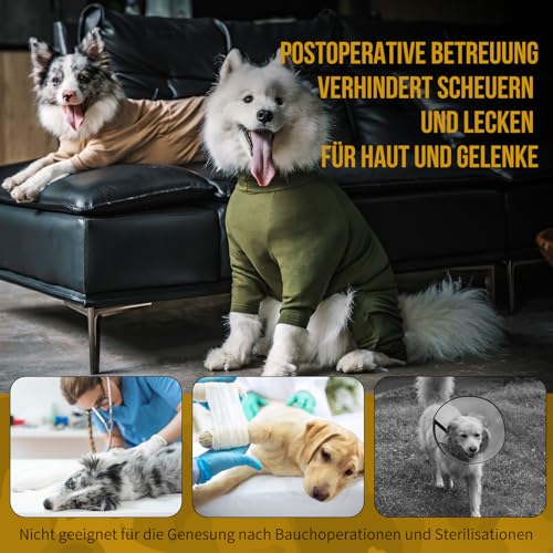 OneTigris Hund Onesie, FUZZBUD Einteiler für Große und Mittelgroße Hunde Weicher Warmer Dehnbarer Mehrzweck Hundepyjama für Haarausfall, Allergien, Anti-Lecken, Wundschutz - Grün L