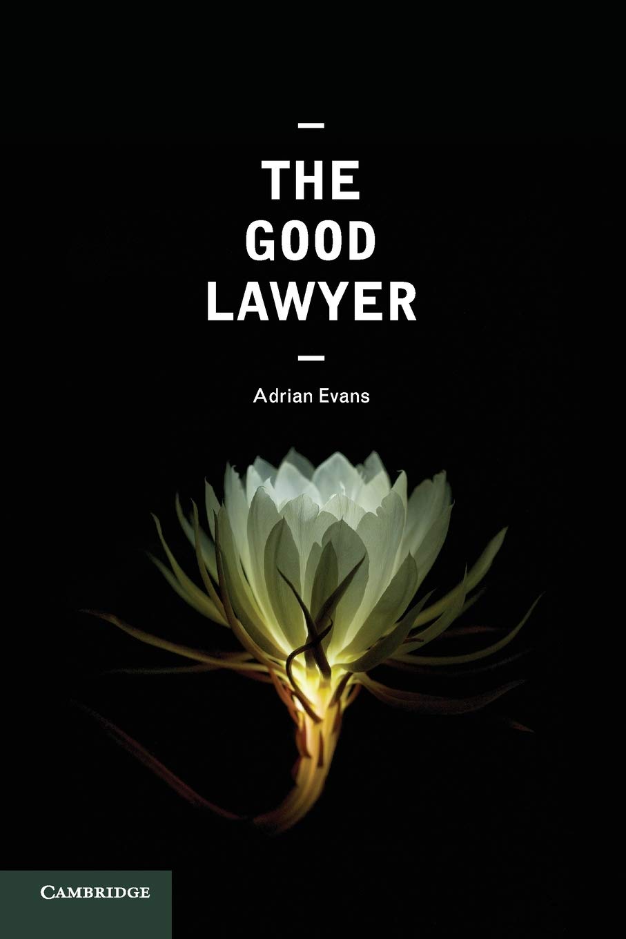 The Good Lawyer: A Student Guide To Law And Ethics