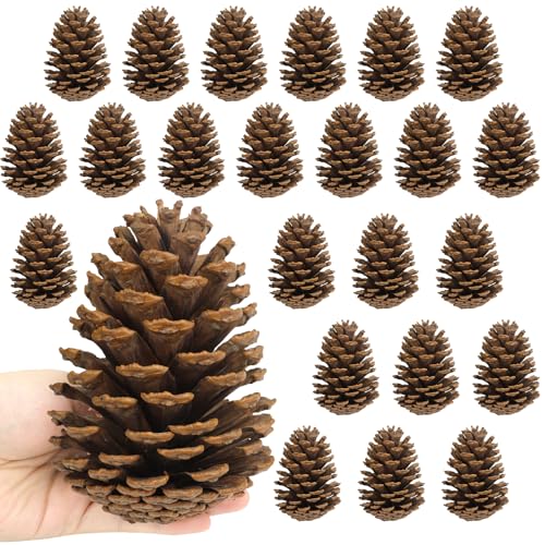 Larber 24 Stück Tannenzapfen Groß,11-14cm Kiefernzapfen,Zapfen zum...