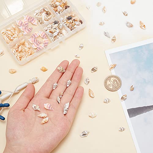 PH PandaHall 260pcs 4 Styles Mini Seashells - Image 3