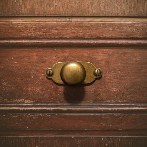 Image of Goo-Ki Antique Brass Zinc Alloy Cabinet Knob with Backplate - Single Hole Center Cabinet Pull Hardware for Bedroom, Kitchen, 6 Pack（8611-G013）