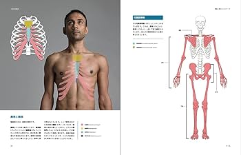 51x9RkK8dKL._AC_UF350, 51x9RkK8dKL._AC_UF350,