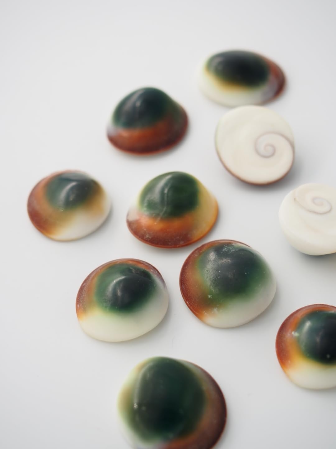 Amazon.co.jp: 【貝殻の問屋さん】キャッツアイグリーン（リュウテン