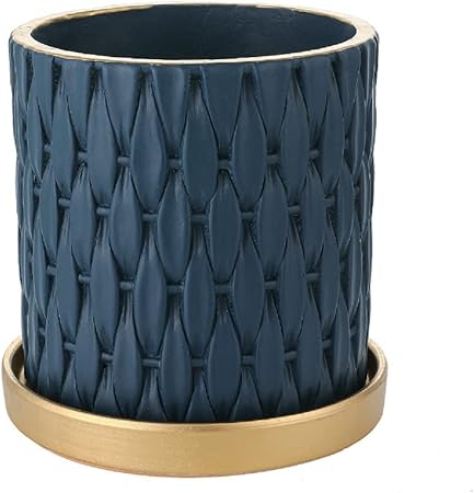 Amazon Co Jp 植木鉢 陶器 鉢カバー おしゃれ 室内 円筒形 セラミック 陶器 鉢 鉢植えおしゃれ 排水穴 穴付き受け皿付き15cm シンプル インテリア 部屋 オフィス 室内 飾り花 観葉植物 多肉植物 ダークブルー 金色 トレイ Diy 工具 ガーデン Amazon Co Jp 植木鉢 陶器 鉢カバー おしゃれ 室内 円筒形 セラミック 陶器 鉢 鉢植えおしゃれ 排水穴 穴付き受け皿付き15cm シンプル インテリア 部屋 オフィス 室内 飾り花 観葉植物 多肉植物 ダークブルー 金色 トレイ Diy 工具 ガーデン