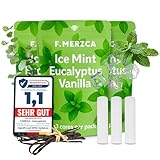 F.MERZCA® Filter mit Geschmack Minze, Eukalyptus & Vanille kombiniert – 9x Filter mit aromatisiertem Geschmack passend für alle Modelle F.MERZCA – 900 Züge für Rauchentwöhnung mit Geschmack