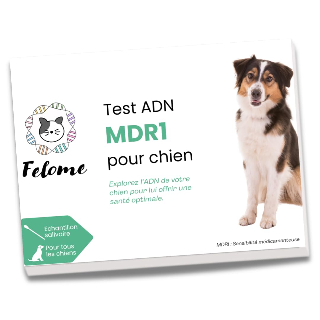Prueba de ADN MDR1 para perros - Prueba de sensibilidad medicamentosa para su perro - Resultados en 2 semanas - Prueba de salud de cachorros y perros