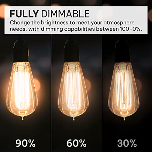 Hudson Bulb Co. 12345 Vintage Incandescent Edison Light Bulbs 60W thumb #2