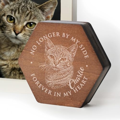 Image of Personalized Pet Hair Keepsake Box for Dog and Cat Fur - Engraved Wood Memorial Box - Unique Customized Gift for Loss of Furry Friend Wooden (Dark Diamand Wood Lid, With Photo)