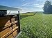 Bio-Rapsöl nativ 500 ml, kaltgepresst, angebaut und abgefüllt in Oberbayern, Naturland Landwirtschaft, für eine vegane und glutenfreie Ernährung geeignet