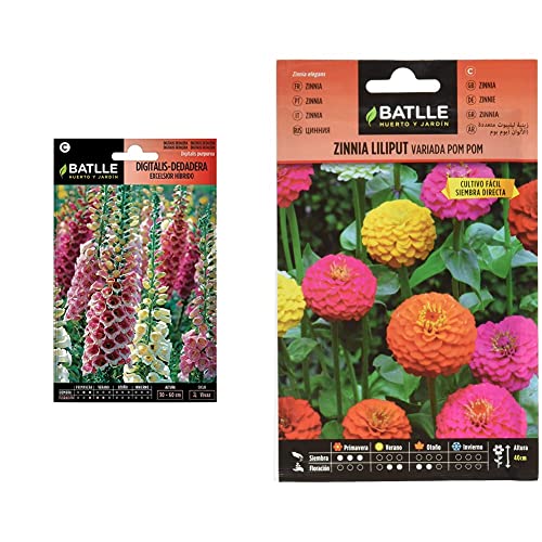 SEMILLAS BATLLE Digitalis-Dedadera Excelsior hibrido + Zinnia LILIPUT variada (Pom Pom)