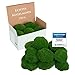Produktbild Kugelmoos konserviert | Echtes Bollenmoos für Moosbilder | Haltbares Moos zum Basteln | Wetterfestes naturgrünes Islandmoos (250g)