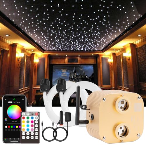 CHINLY Starlight Headliner Kit 800pcs