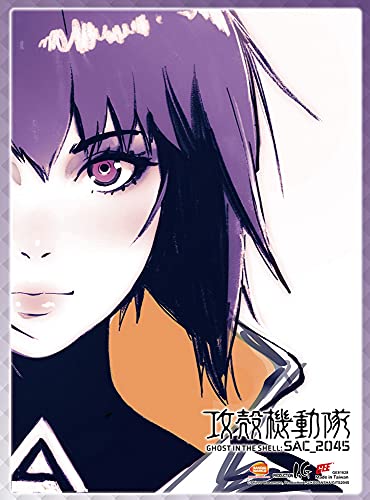 Amazon.com: Great Eastern Entertainment: Ghost In The Shell: SAC_2045