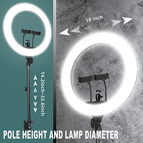 RAUBAY 45,7 cm LED-Ringlicht mit Schreibtischhalterung und Telefonhalter, Selfie Kreis Licht mit Ständer, C-Klemme für… – Bild 6