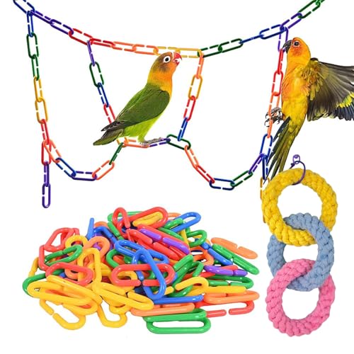 nijimomo `F[ K  Q_Zbg [v  Vя [v uR ݂艺 (2)