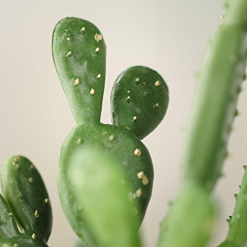 Factory Direct Craft Pair of Artificial Beautertia Cactus Plant Picks for Crafting, Arranging and Embellishing