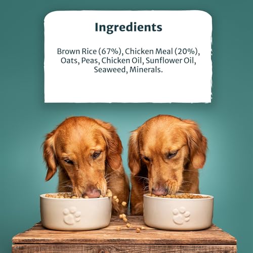 Burns Pet Nutrition Hypoallergenic Complete Dry Dog Food Adult and Senior Dog Original Chicken and Brown Rice 12 kg - Image 5