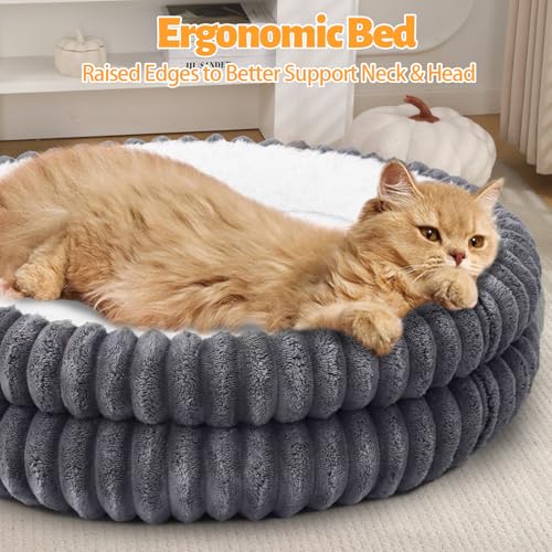 XIAPIA Katzenbett Flauschig 55 x 15 cm, Plüsch Katzen Schlafplatz Weich und Warm für Katzen Kleine Hunde, Orthopädisches Kuschelbett mit Rutigfester Boden Grau