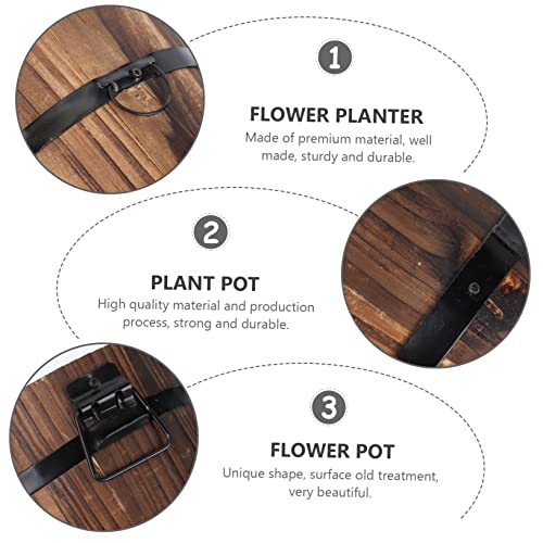 Plantes succulentes : évitez l'excès d'eau avec ces pots en bois - 5