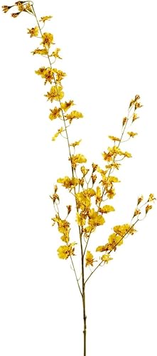 Miniatura 2 de Ashland Orquídea bailarina amarilla