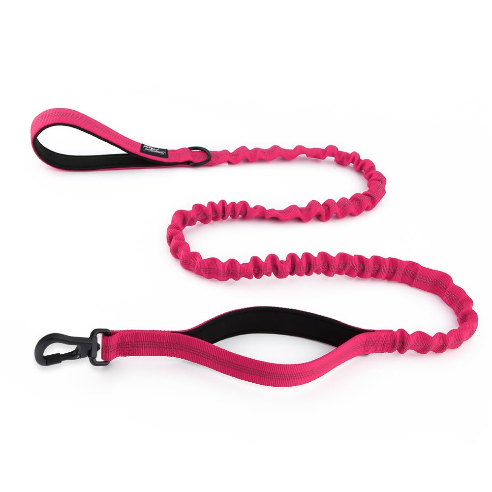 Snootiful Hound Secure Bungee Dog Lead With Locking Carabiner Clip, Double Handle Shock Absorbing Lead, Assorted Colours