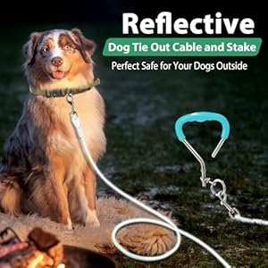   Dog-Tie-Out-Cable-and-Stake-Reflective-Dog-Yard-Leash-Cable-with-No-Tangle-Handle-Heavy-Duty-Dogs-Tether-and-Chain-for-Medium-to-Large-Dogs-Up-to-300lbs-in-Outdoor-Green-10FT