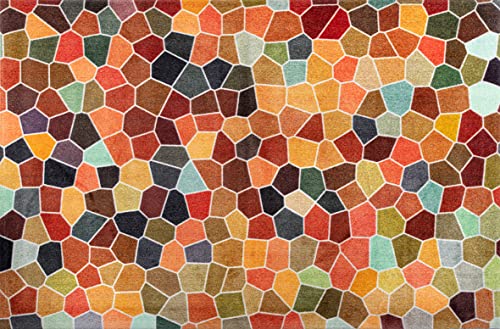 wash+dry Fußmatte, Splendour 140x200cm bunt, innen und außen, waschbar