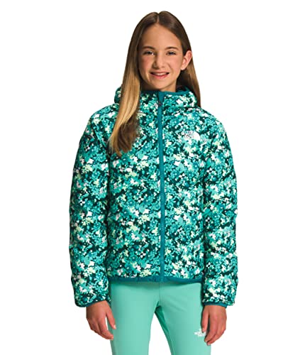 The North Face Girls' Reversible North Down Hooded Jacket, Harbor Blue, Medium #TOP4
