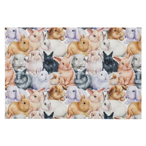 SAMAU  փ}bg  G ETM ӂӂ hA}bg DƂ ~ O Ɩp ItBXp ƒp 唻 60*90CM