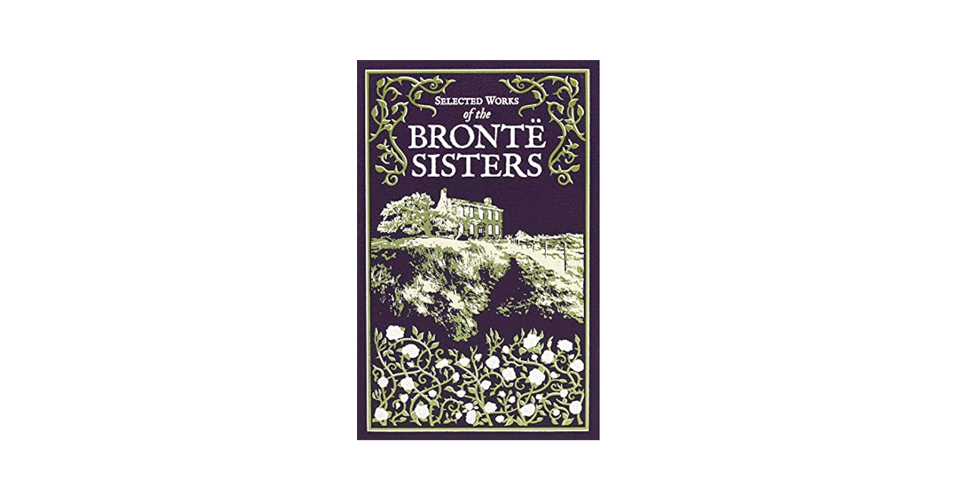 Selected Works of the Bronte Sisters (Leather-bound Classics
